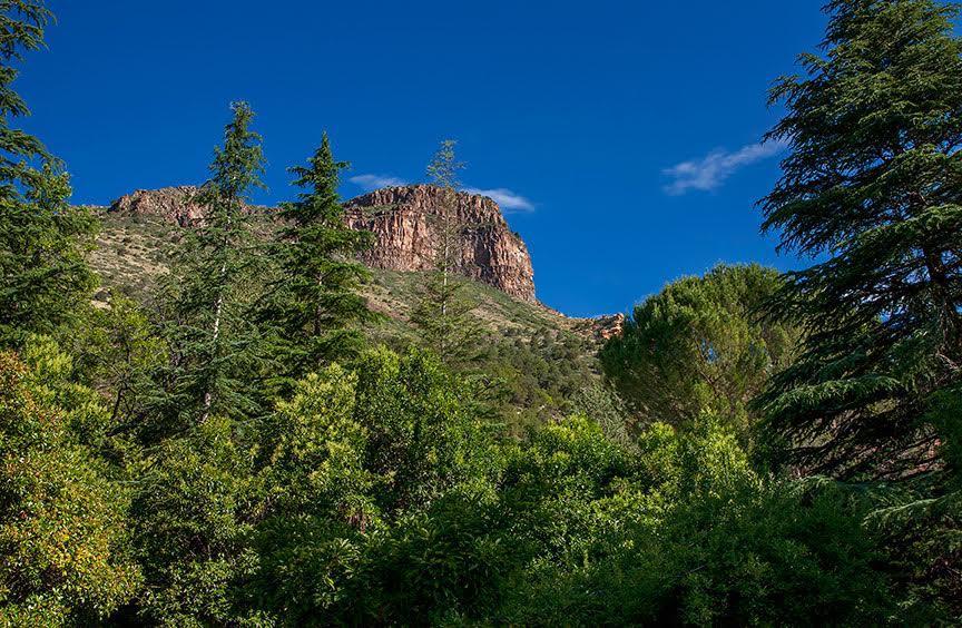 Briar Patch Inn Sedona Eksteriør bilde